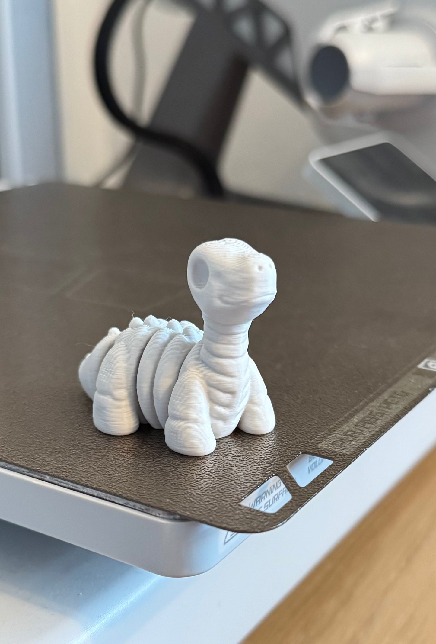 Skeleton Dinosaurs