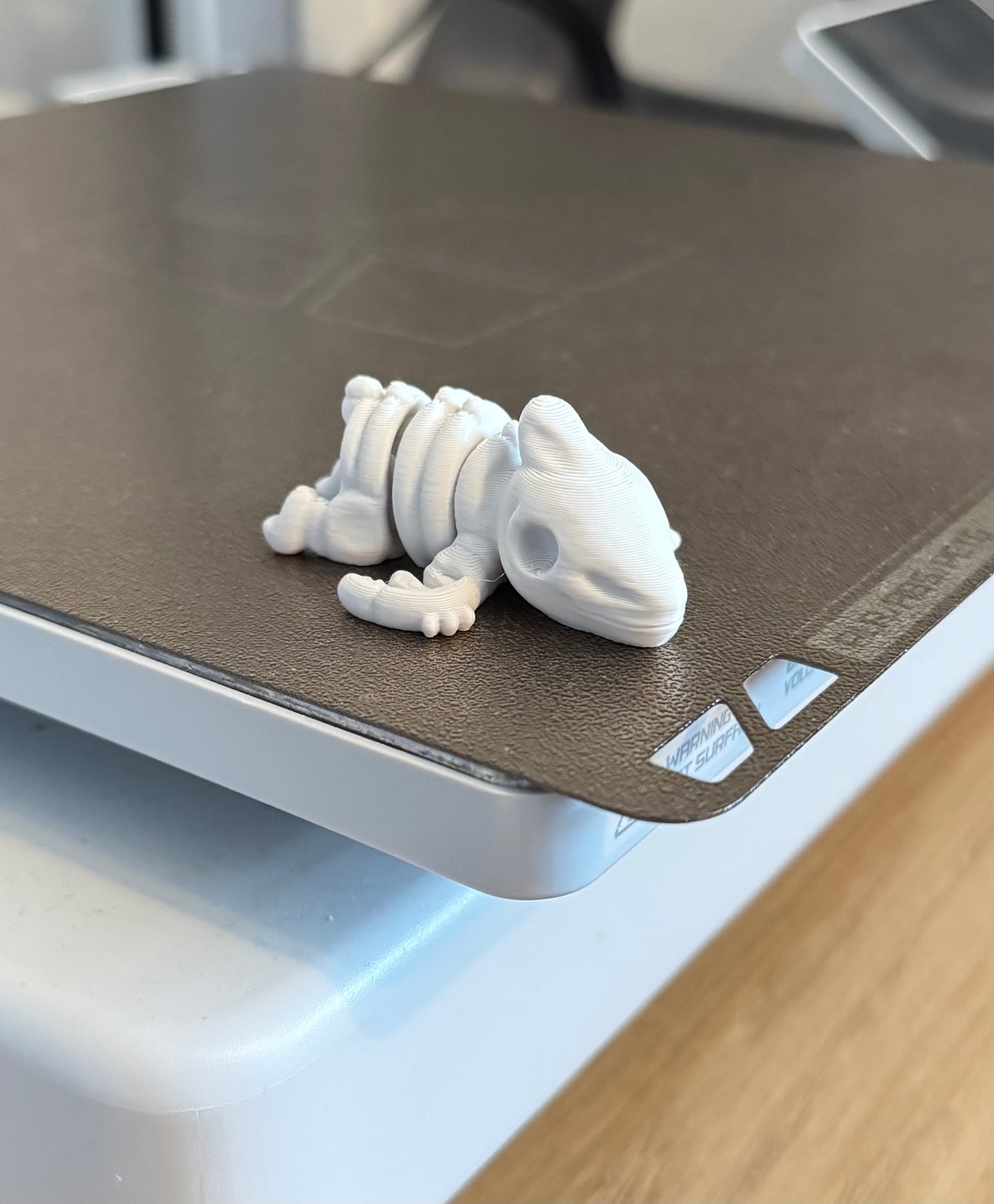 Skeleton Dinosaurs