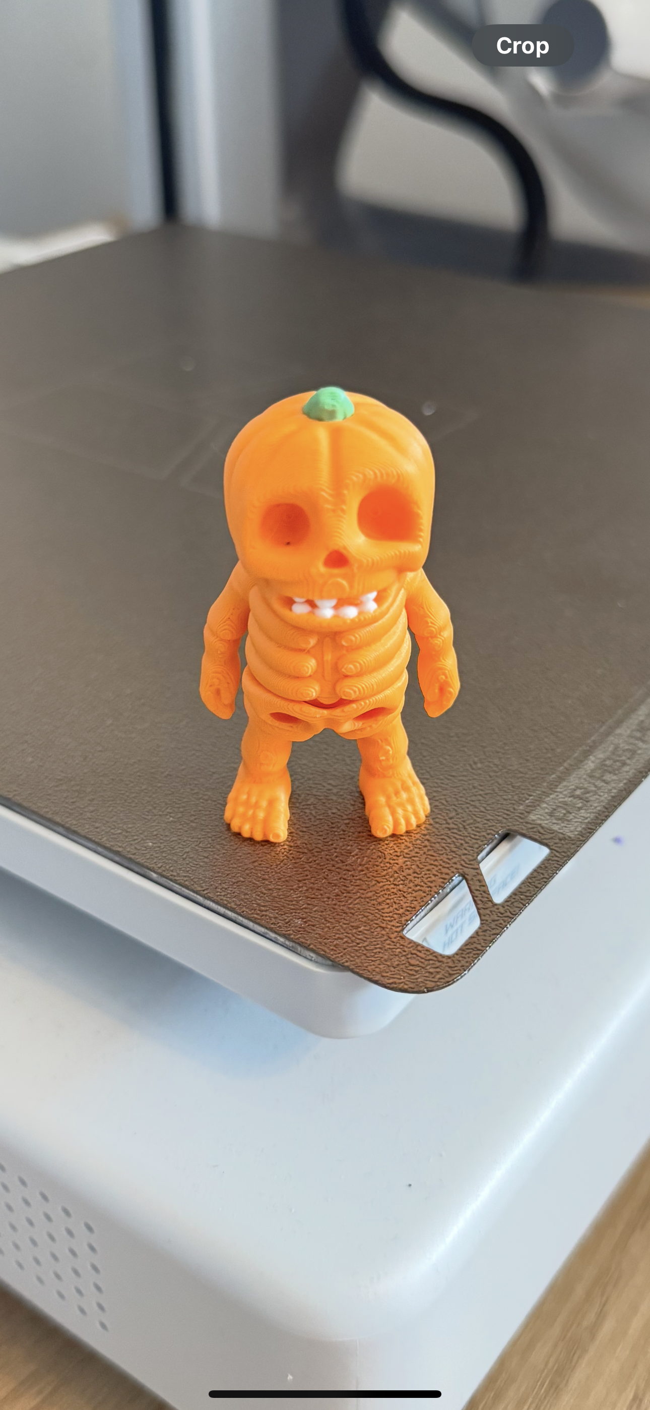 Halloween Bones