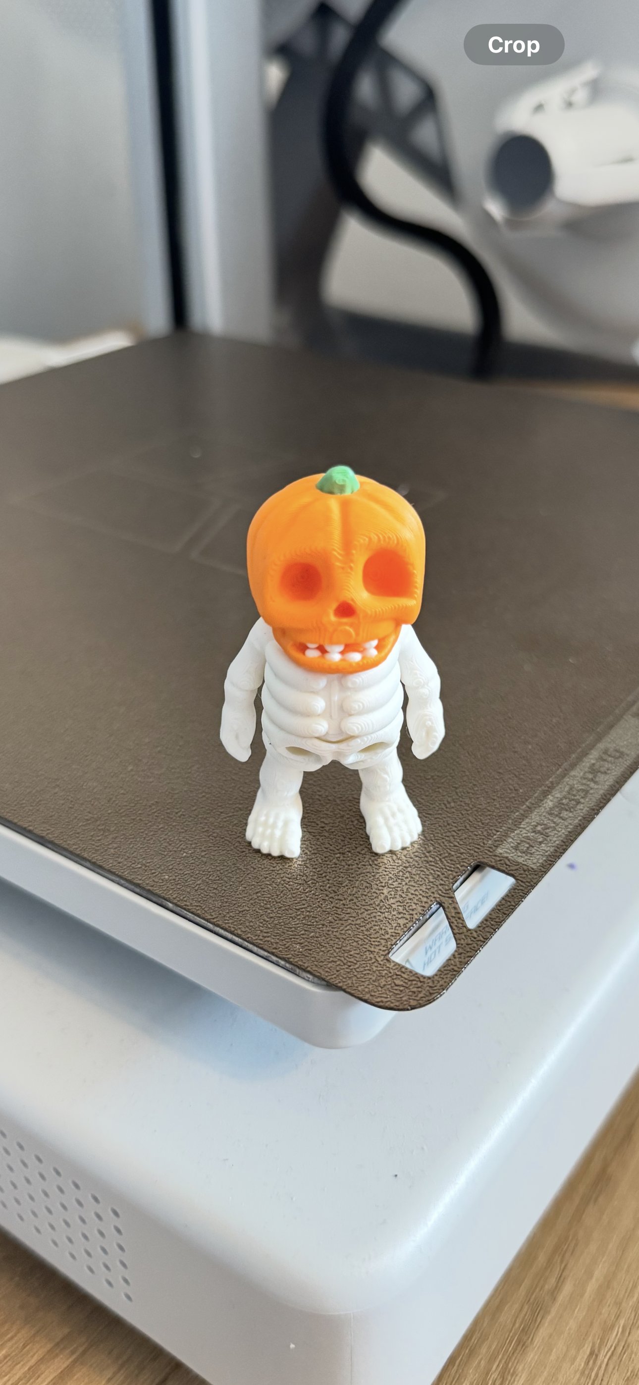 Halloween Bones