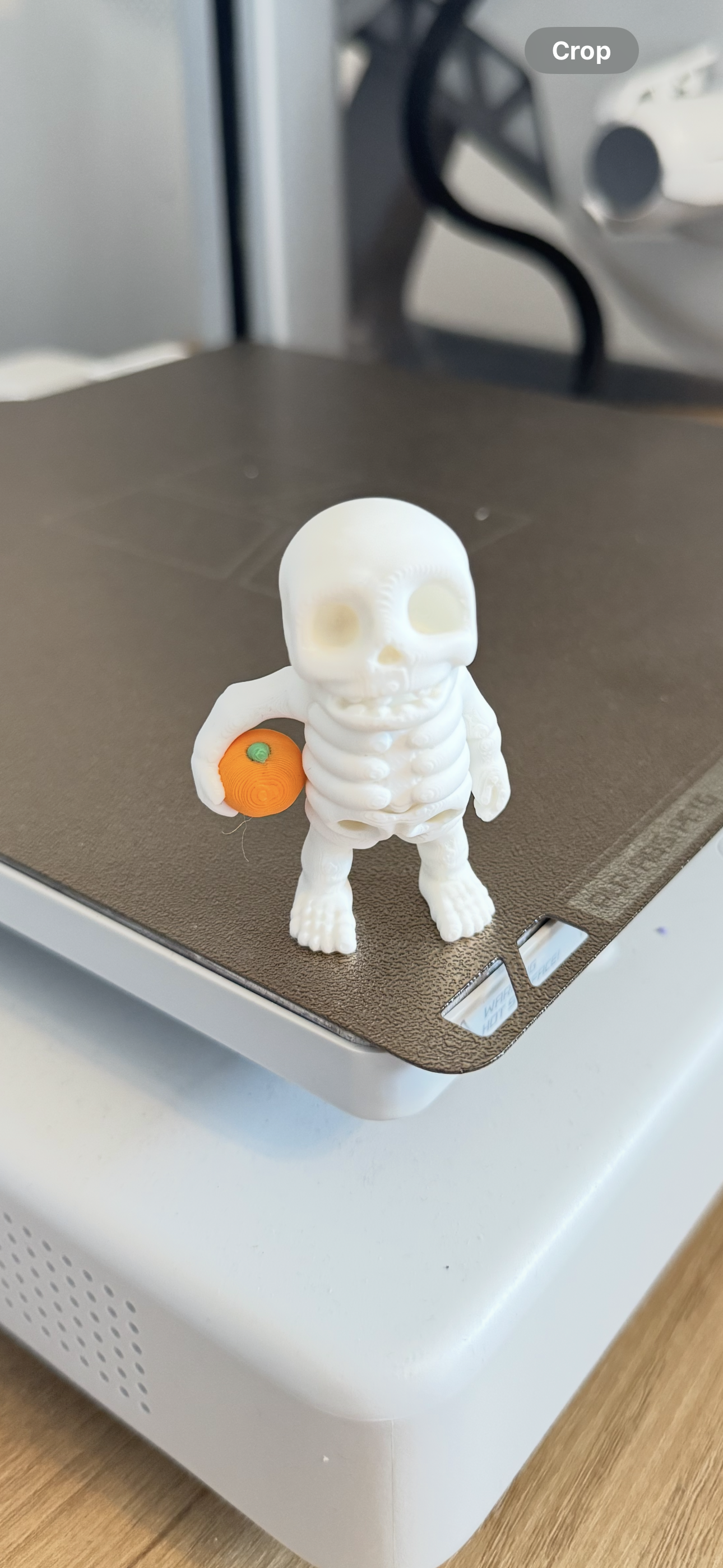 Halloween Bones