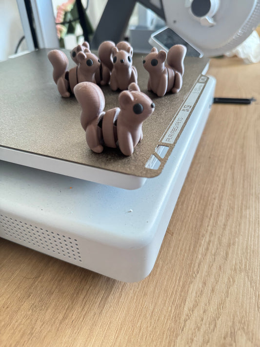 Squirrel Fidget Pet