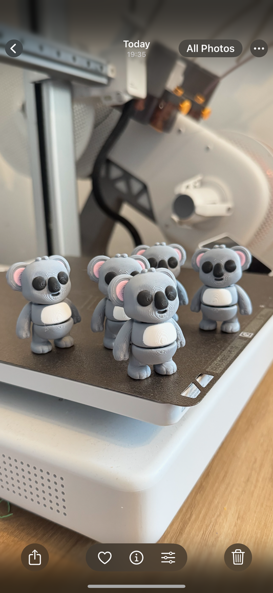 Koala Fidget Pet