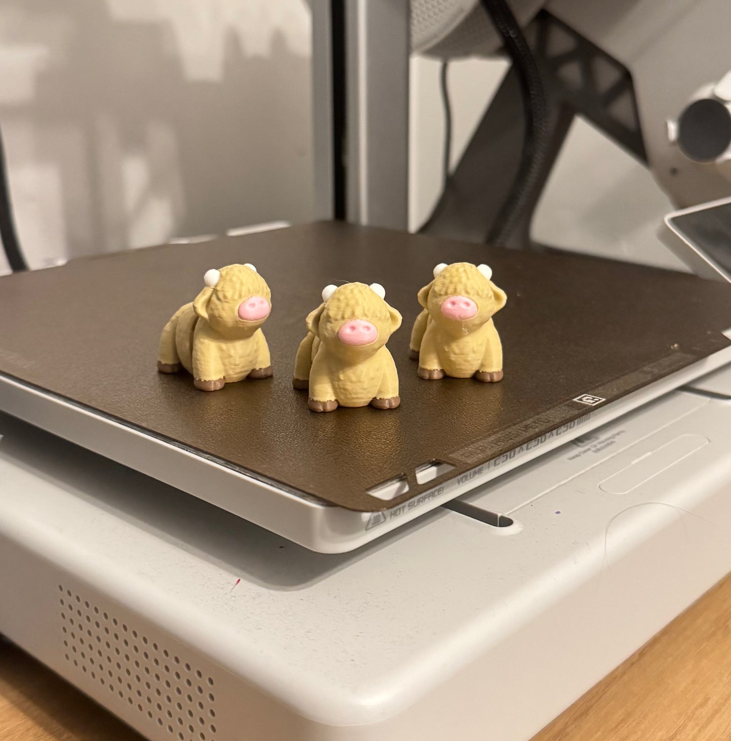 Highland Cooo Fidget Pet