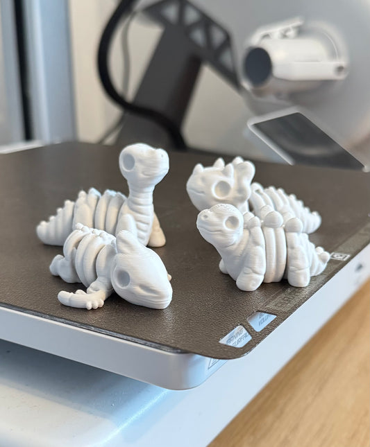 Skeleton Dinosaurs