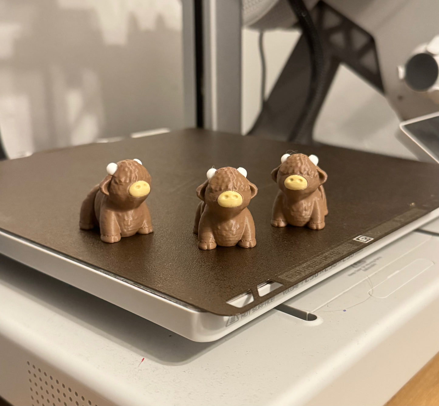 Highland Cooo Fidget Pet